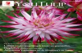 YouTulip bloembollen catalogus voorjaar 2011