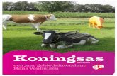 2012 Koningsas Magazine