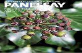 PanEssay | April 2011 | m.f.v. Panacea