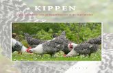 Preview boek 'Kippen, de schoonheid van 26 kippenrassen in de lage landen'