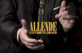 Allende Cantaor Flamenco