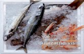 NL - De Smaak van Duurzame Vis