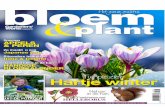 Bloem & Plant januari 2013