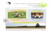 2013 08 nieuwsbrief vogelwerkgroep oost brabant