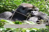 Projectinformatie Limbe Wildlife Centre