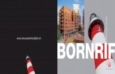 Ymere Brochure Bornrif