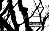 Maëstro by Shinnoki 2011 - NL