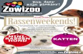 Zowizoo - Folder maart