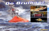 De Brulboei 2011 - 5