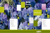 Spring Brochure 2011