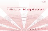 Nieuw kapitaal | RUIMTEVOLK Jaarboek 2013