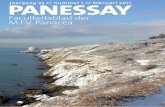 PanEssay | Februari 2011 | m.f.v. Panacea