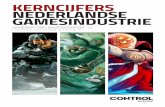 Kerncijfers Nederlandse Gamesindustrie (Control Magazine)