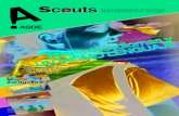 Revista Scouts 23