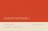 Opdracht multimedia 2