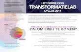 HET DERDE OOG: TRANSFORMATIELAB CYCLUS 2011