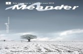 Meander 2010-1