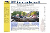 Pinakel - augustus 2009