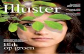 Alumnimagazine Illuster (november 2013)