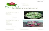 Algemene catalogus FlowerArt