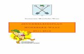 Jeugdbeleidsplan Moerbeke 2011-2013