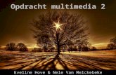 Multimedia 2: made by Eveline Hove &  Nele Van Melckebeke