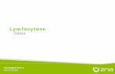 Hematologie Roadshow - Lymfocytose casus