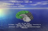 Brein van de Therapeut II