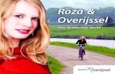 Roza & Overijssel - hoe democratie werkt