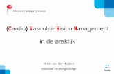 presentatie workshop vasculair risico management