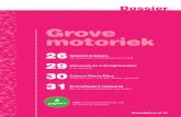 Dossier Grove Motoriek