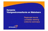 Dynamis Corporate Brochure
