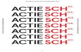 ACTIE SCH: Actie(s) voor Scheveningen Bad