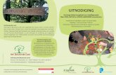 Workshops op raakvlak natuur en zorg in de Hooge Heide