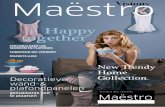 Maëstro Visions 2012 - NL revised