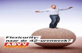 ABVV - Flexicurity: terug naar de 42-urenweek?