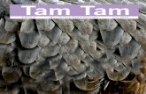 Tam Tam 2010 editie 2