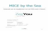 MICE by the Sea - Onderzoek naar de mogeljikheden van een MICE-markt in Zeeland