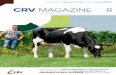 CRV Magazine 8 - augustus 2013 - regio Vlaanderen