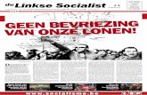 De Linkse Socialist juni 2013