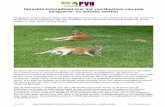 2012-12-19 Houden en behouden Oprechte bezorgdheid over het voortbestaan van vele kangoeroe- en wall