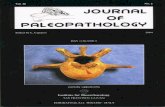 JoP  Vol. 16  n.2 - 2004