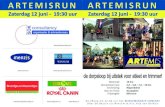 2010-0612 ARTEMISRUN flyer
