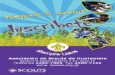 Afiche Scouts
