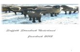 Dutch Suffolk Sheep Yearbook 2012