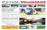 HAC Neerpelt week 45 2012
