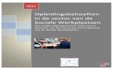 Rapport sociale werkplaatsen 2012