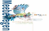 Haëlla Stichting meerjarenverslag 2011-2013
