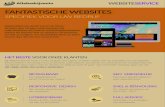 websiteservice informatie brochure