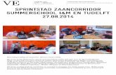 Verslag simulatiesessie Zaancorridor - IenM Summerschool 2014